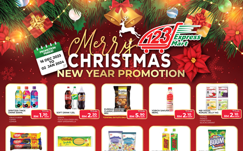 Christmas Promotion